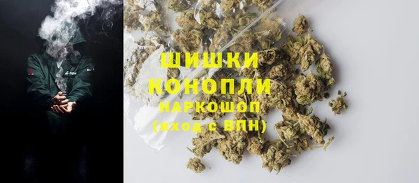 ПСИЛОЦИБИНОВЫЕ ГРИБЫ Зеленодольск
