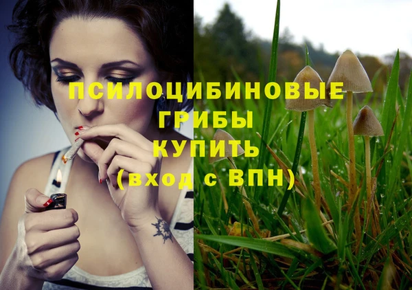 прущая мука Зеленокумск