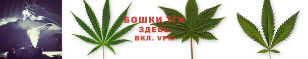 ПСИЛОЦИБИНОВЫЕ ГРИБЫ Зеленодольск