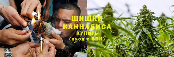 ПСИЛОЦИБИНОВЫЕ ГРИБЫ Зеленодольск