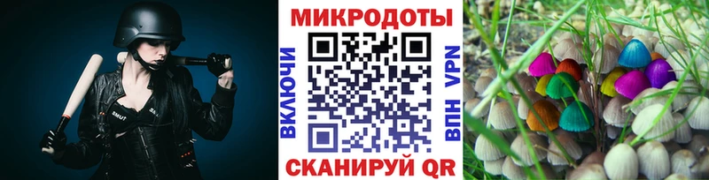 Галлюциногенные грибы Psilocybine cubensis Кизилюрт