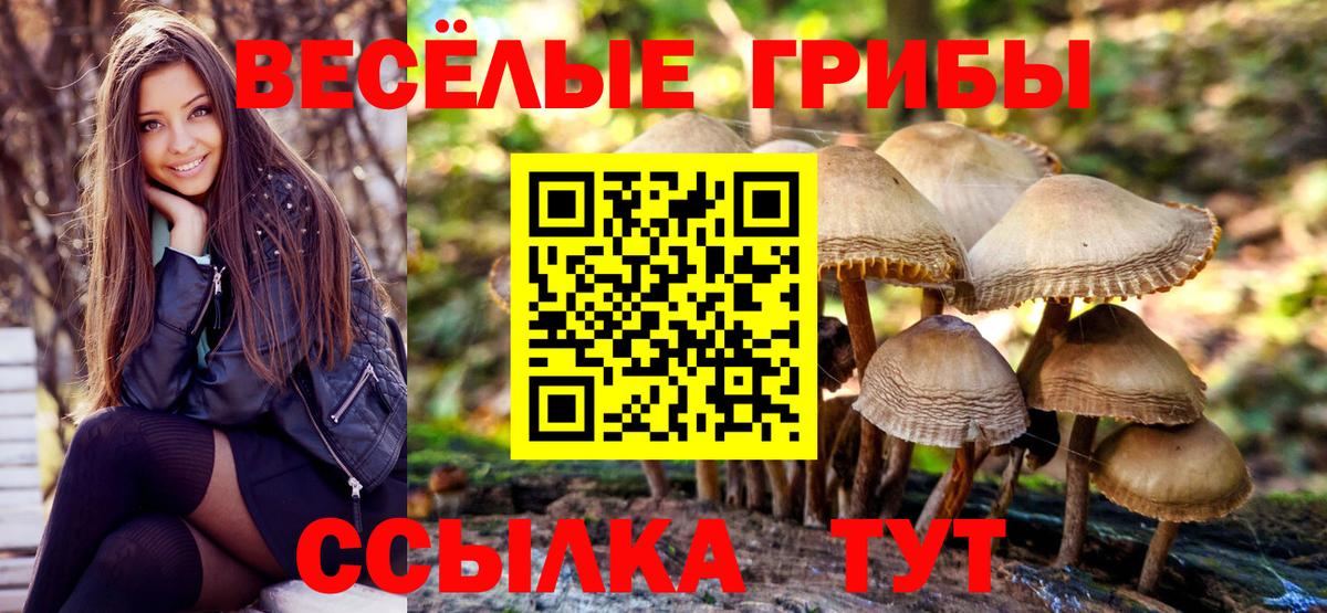 Псилоцибиновые грибы Psilocybe  Псилоцибиновые грибы Psilocybine cubensis  Вход с VPN  Кизилюрт 
